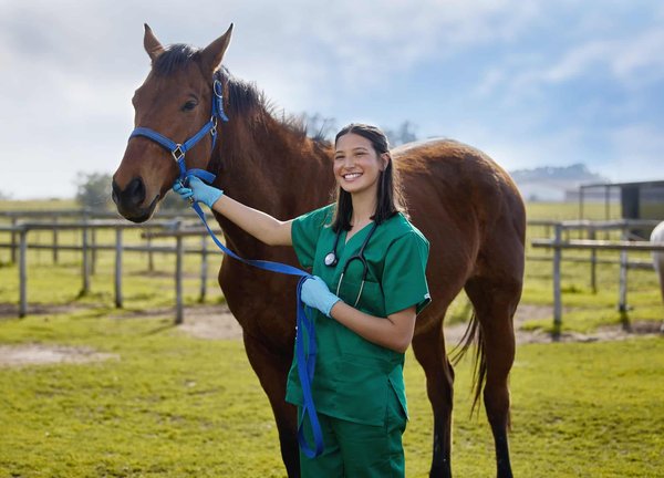 Plante médicinale pour chevaux: les avis des propriétaires de chevaux